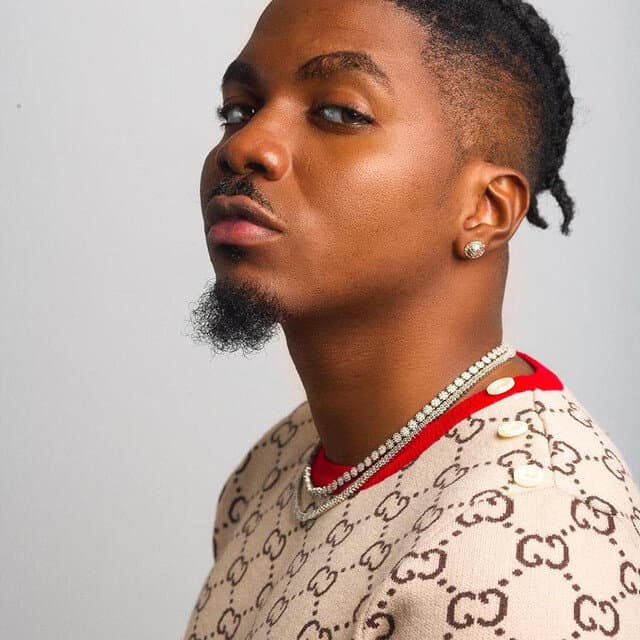Skiibii Net Worth
