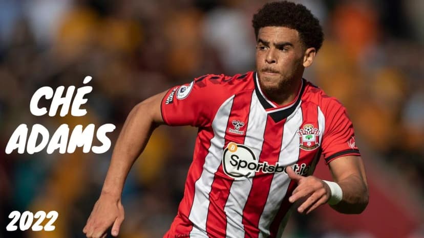 Che Adams Net Worth