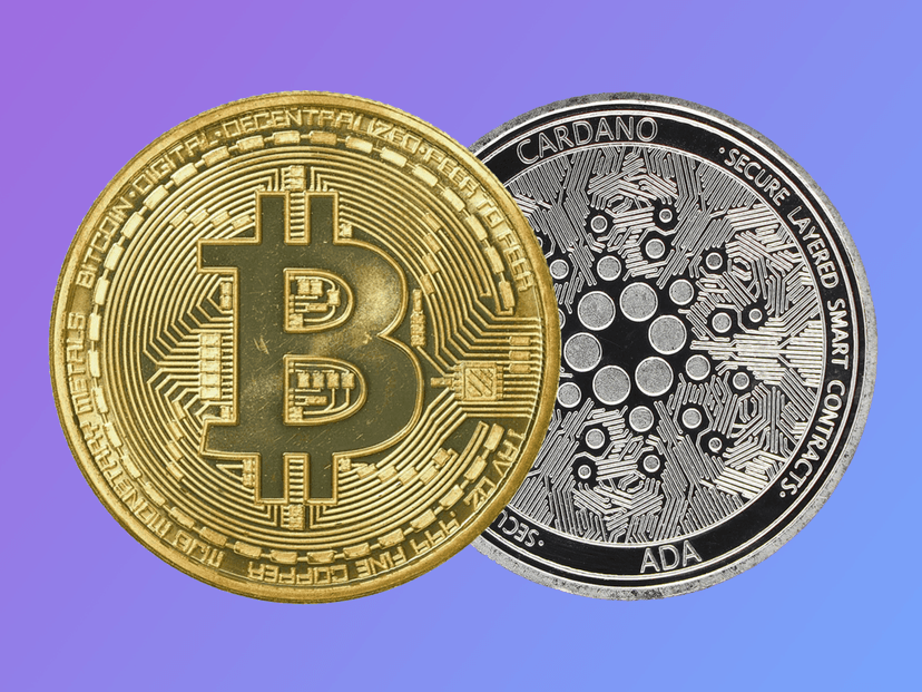 Understanding the Distinct Paths of Bitcoin and Cardano (ADA)