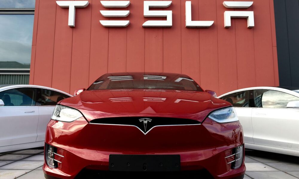 Tesla owner