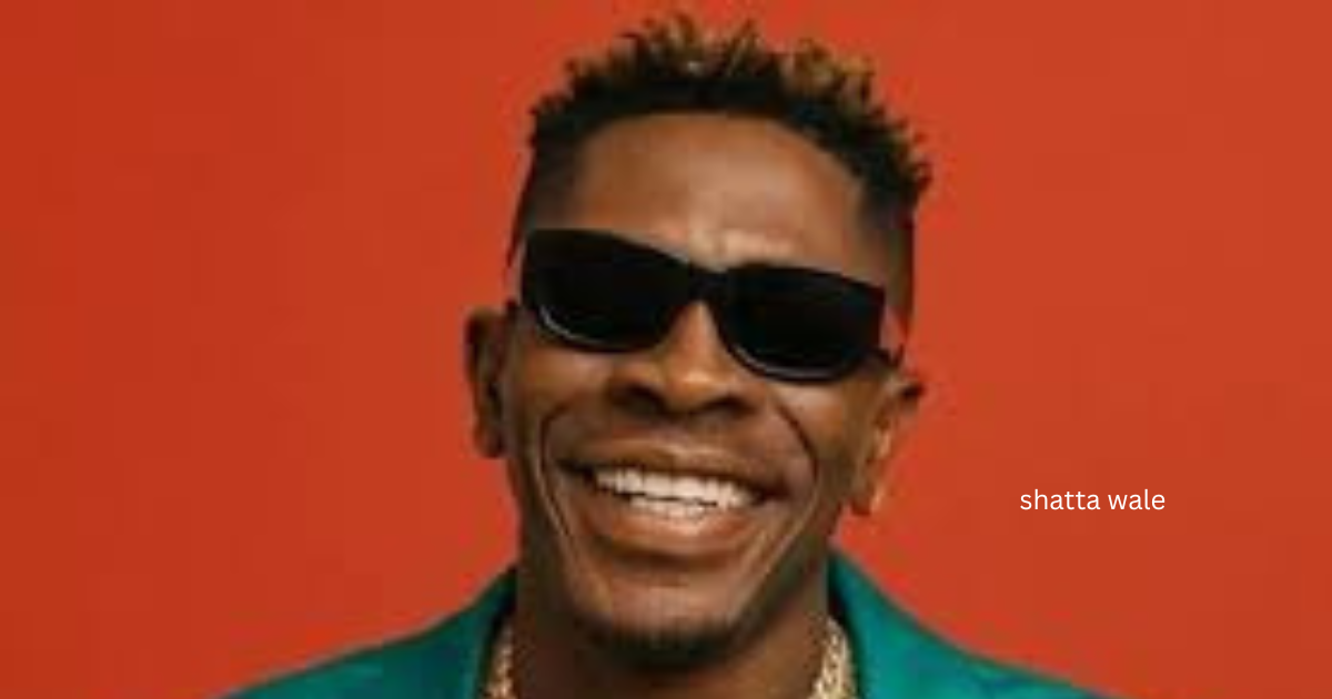 shatta wale net worth
